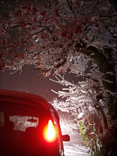 今夜も雪道を帰って来ました