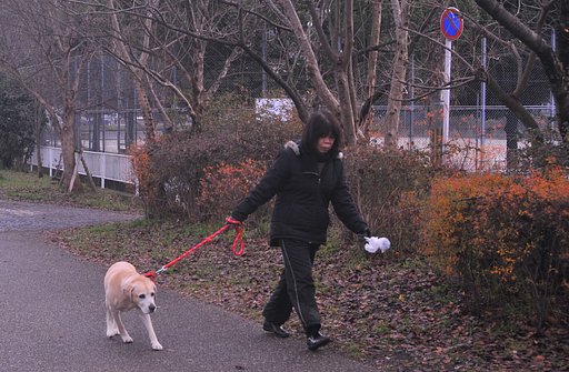 ワンちゃんの散歩