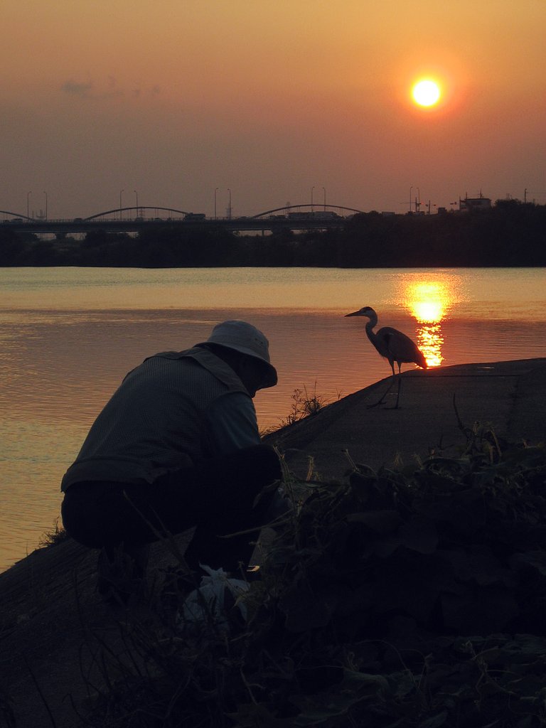 【秋影】川辺の夕物語り