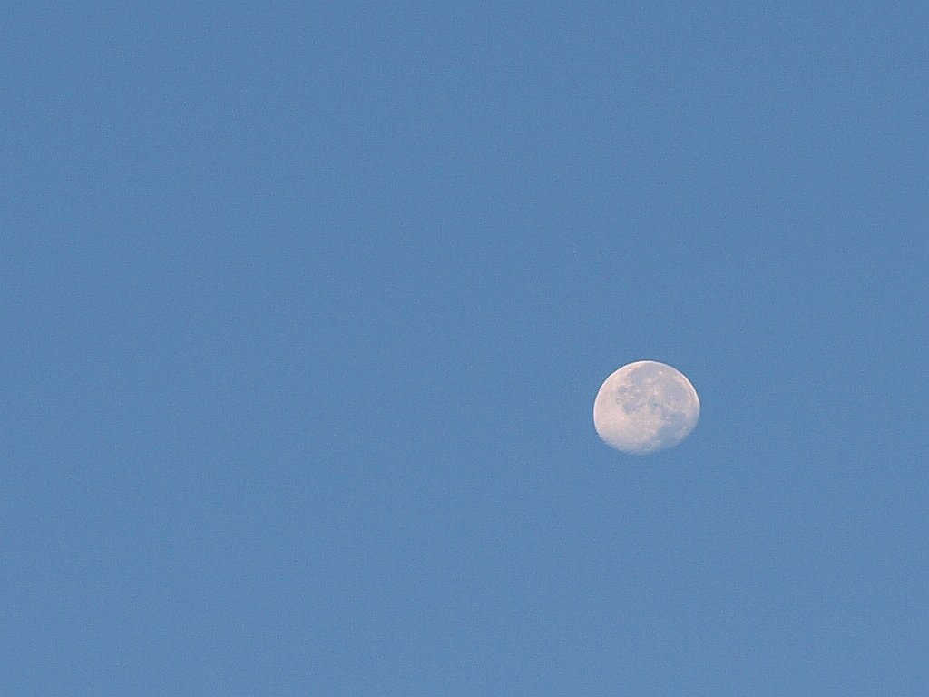 下弦の月