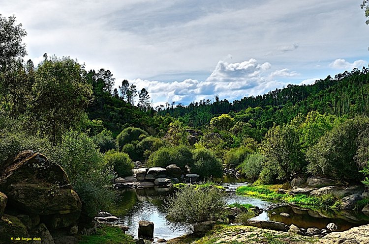 Dao River