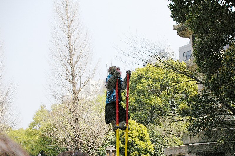 私も実験