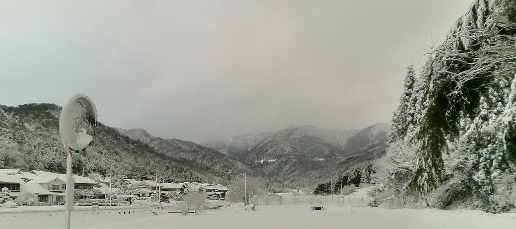 夕べ又積雪が