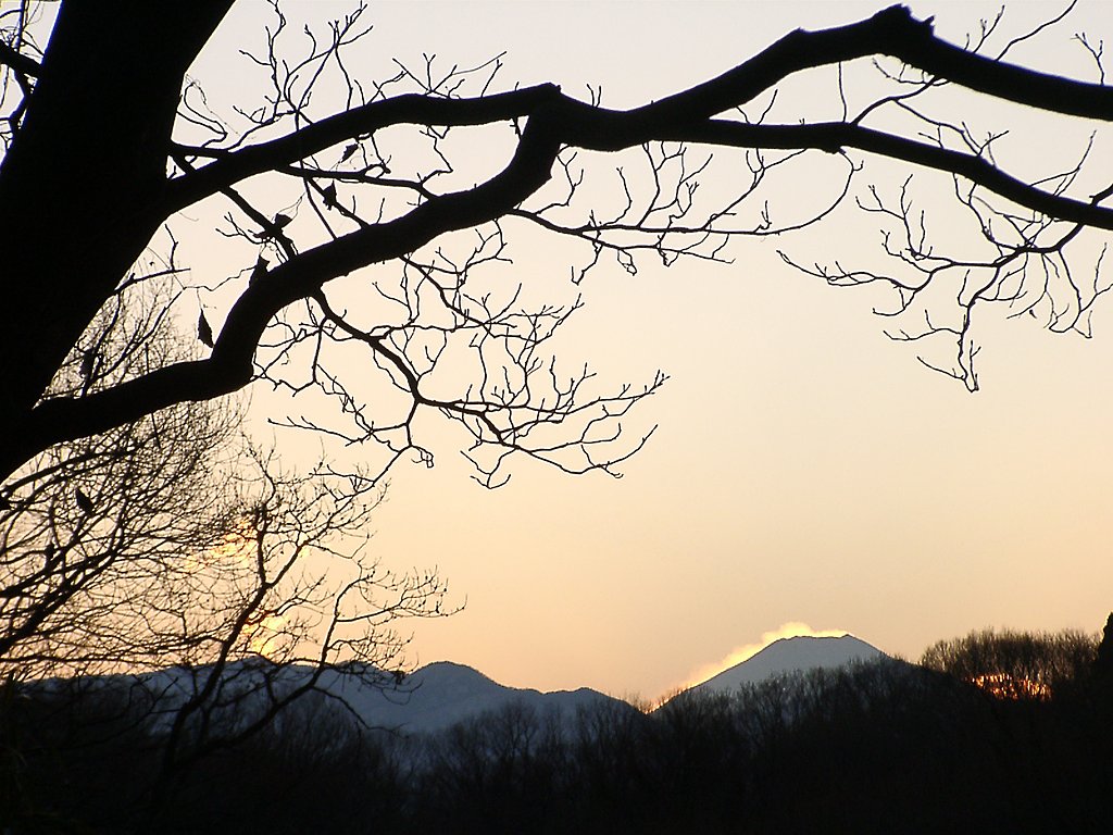 ▲日本画風の夕暮れ-07