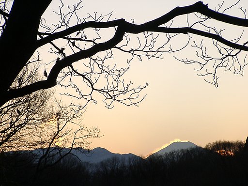 ▲日本画風の夕暮れ-07