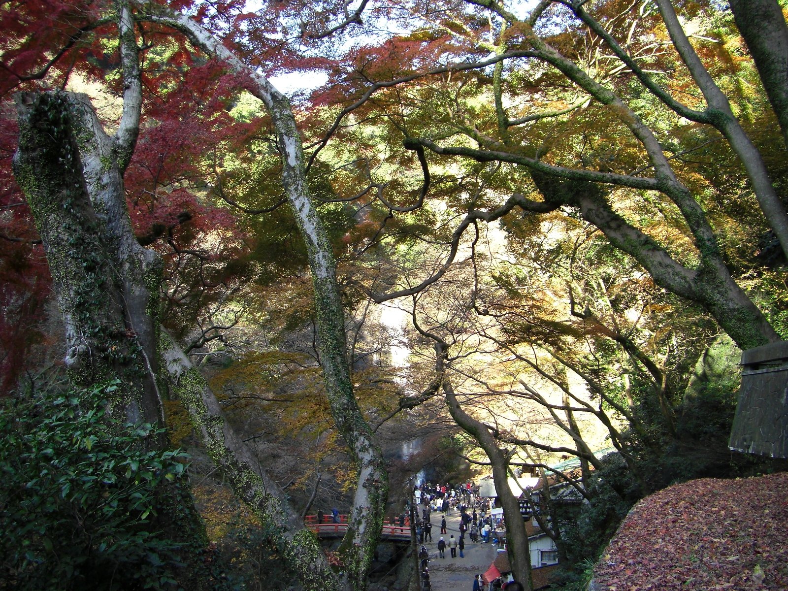 箕面の滝 附近