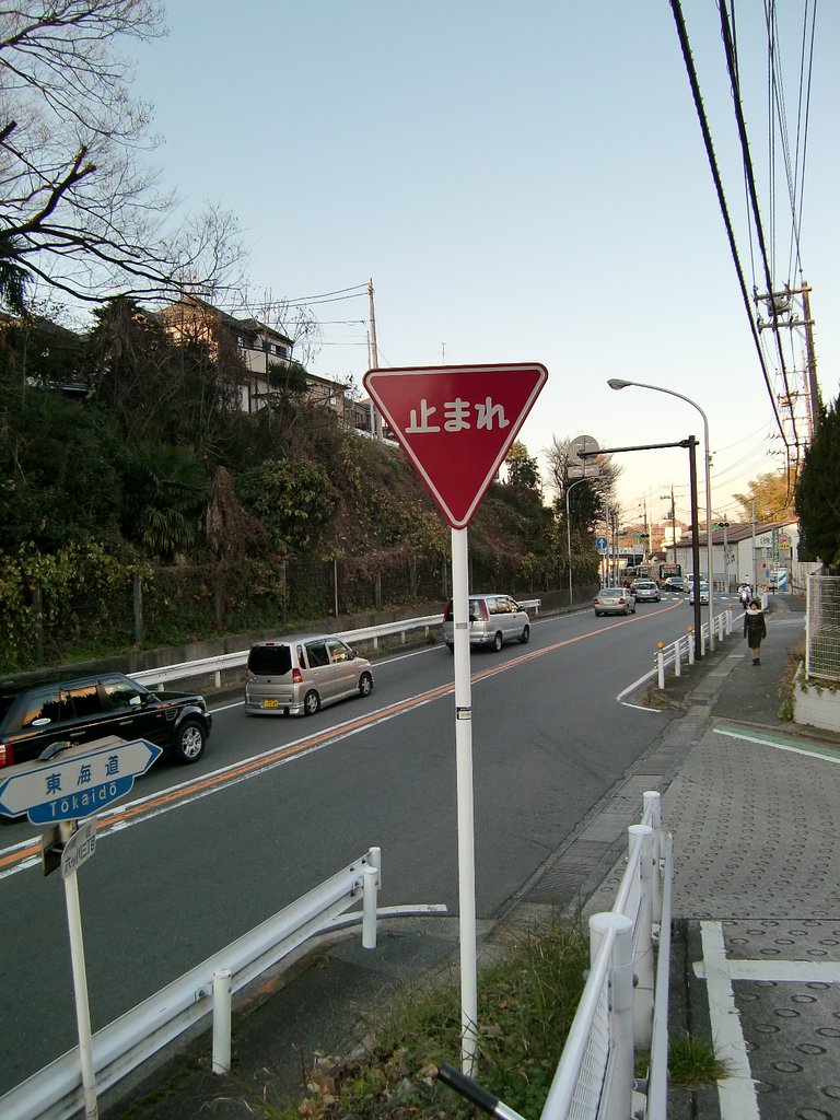 〜　ここは何処？　〜