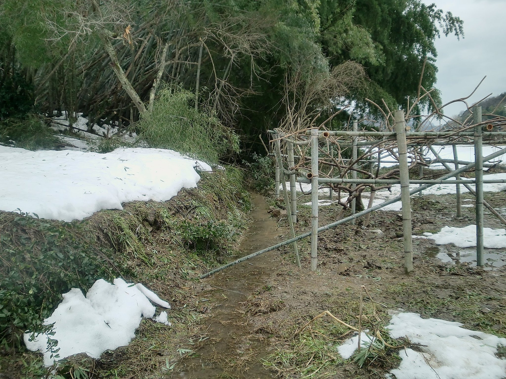 少しだけ畑の排水