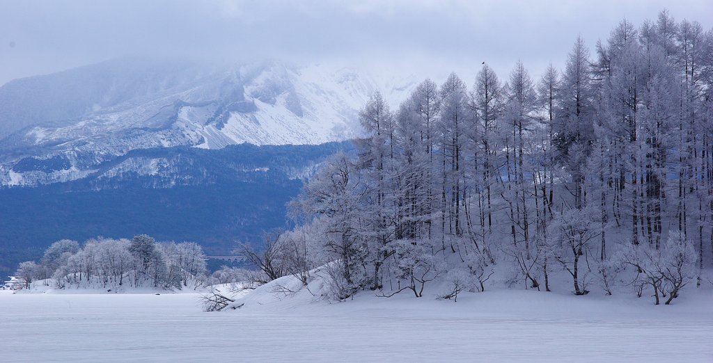 霧氷の見える風景