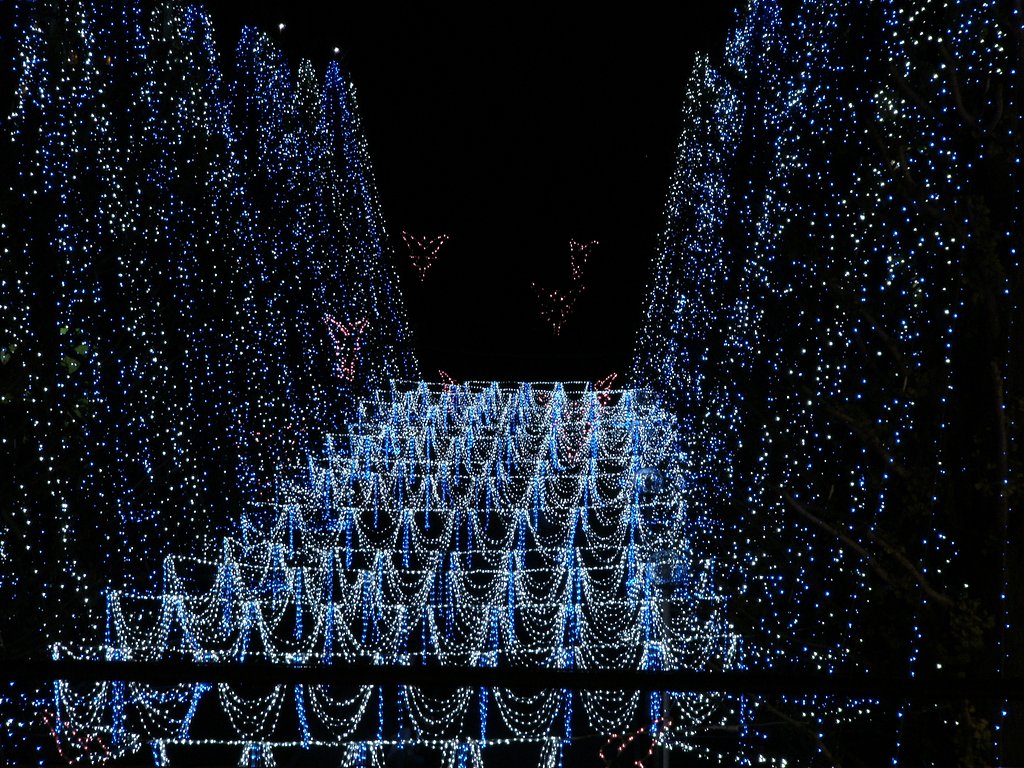 モールのクリスマス商戦（1）