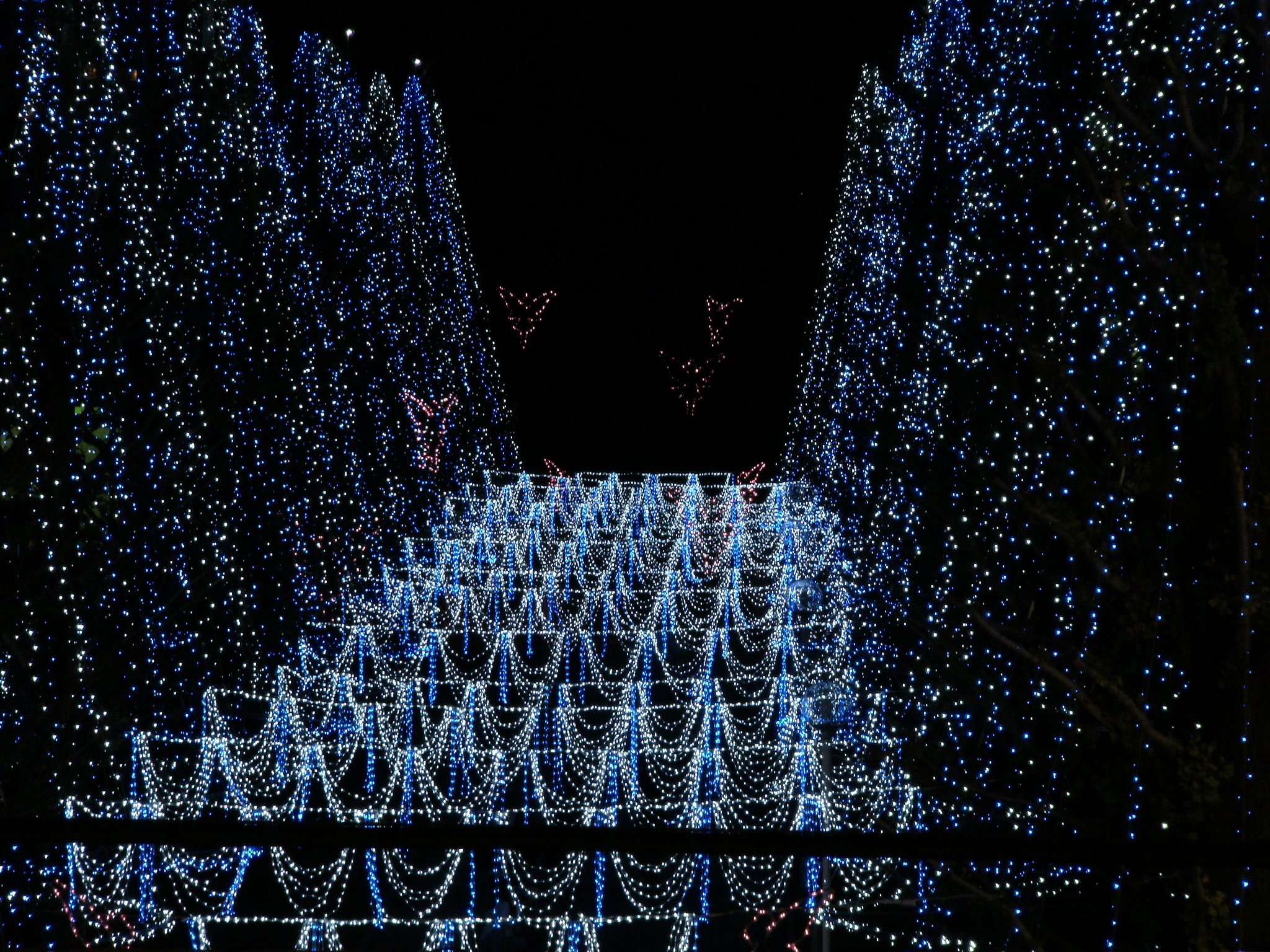モールのクリスマス商戦（1）