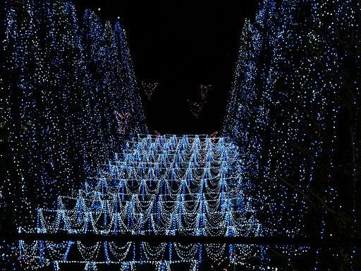 モールのクリスマス商戦（1）