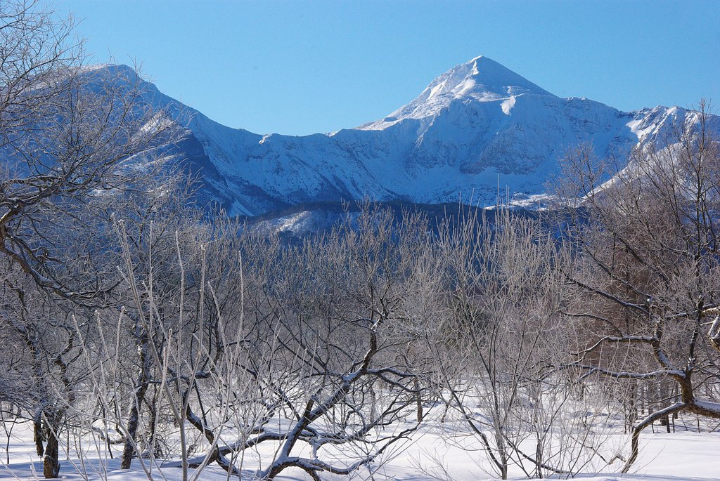 樹氷と磐梯山