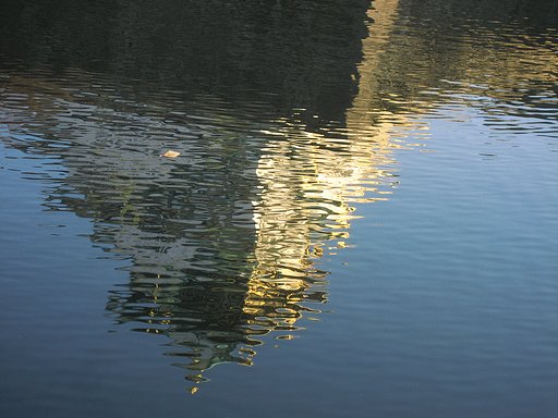 気になる浮遊物体