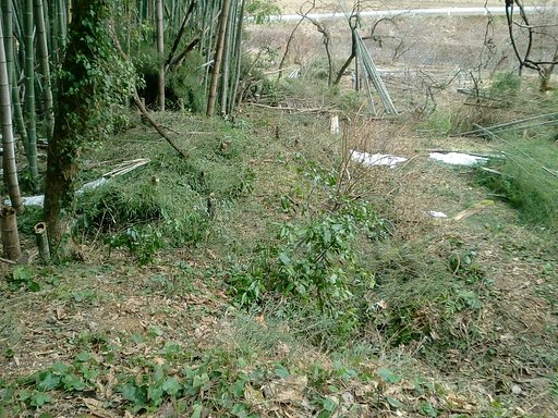 奥の畑の入る道が見えて来た。