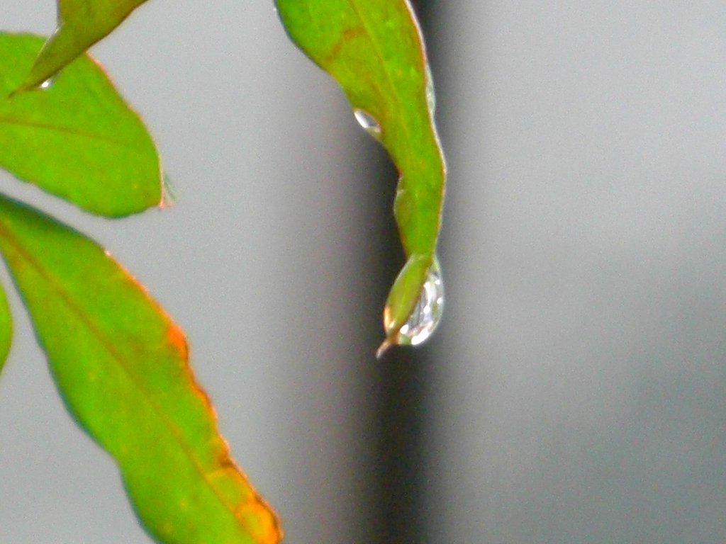 水滴