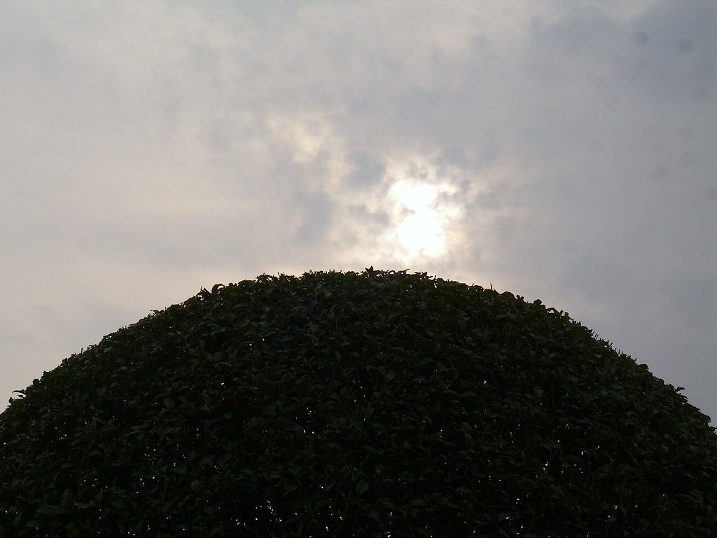 朝曇り