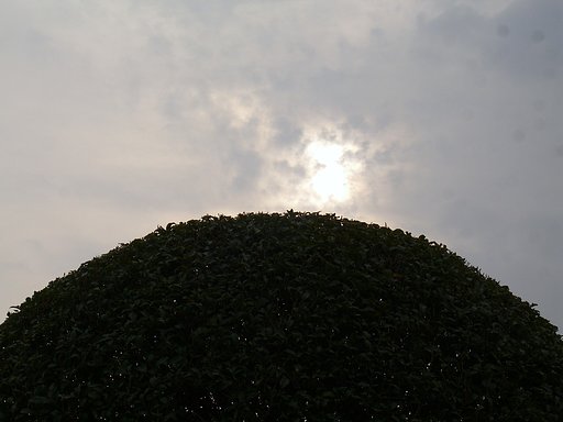 朝曇り