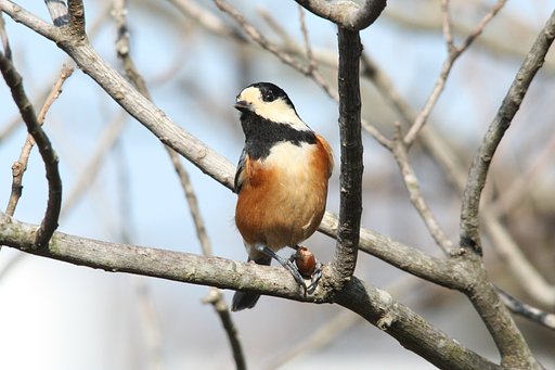 食事中ですけど、なにか？