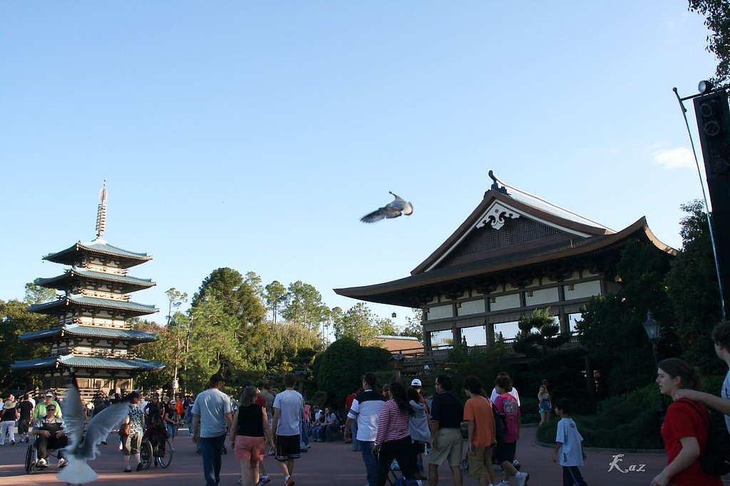 ここは日本？