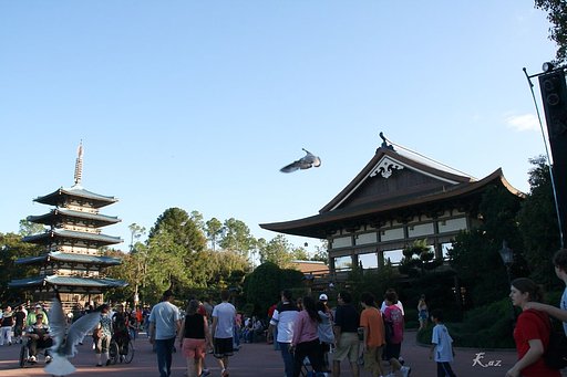 ここは日本？