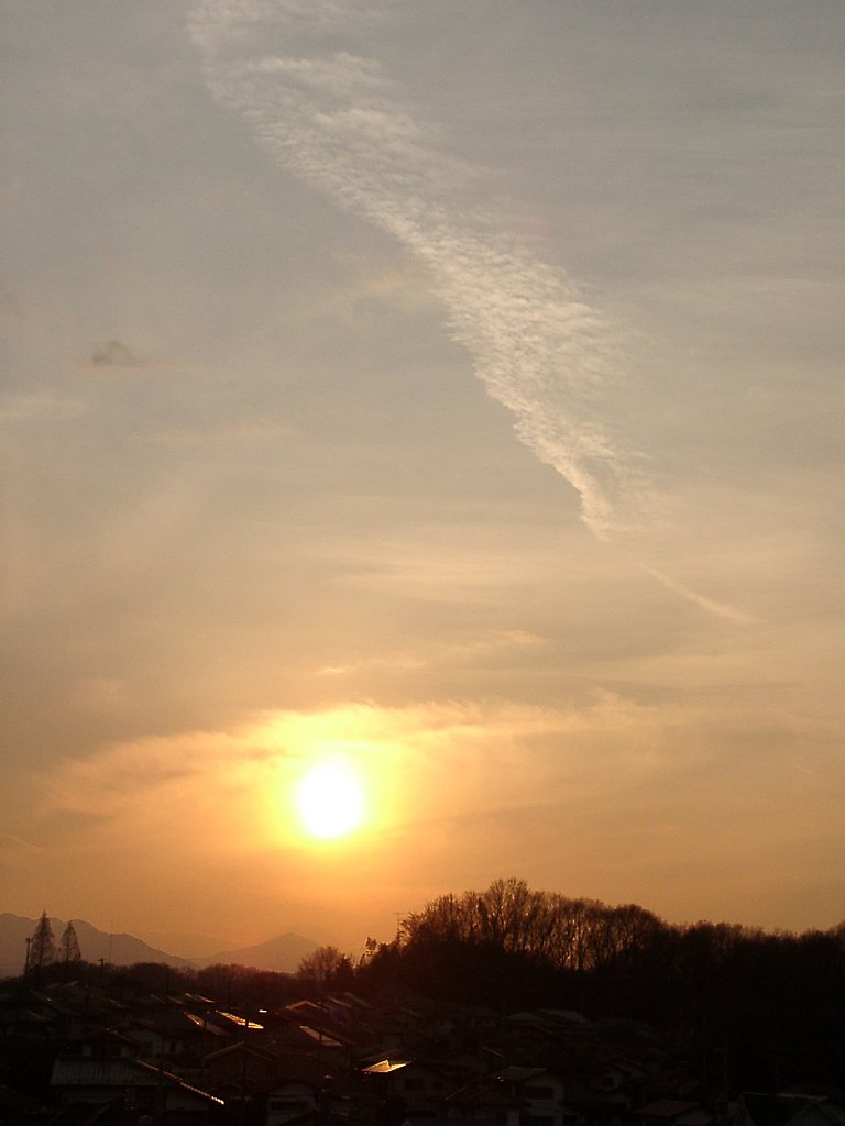 ▲日本画風の夕暮れ-19