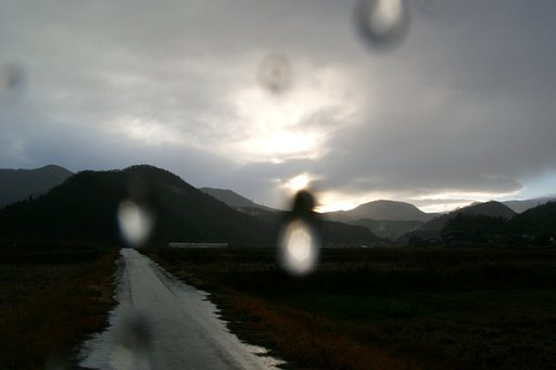 今日も大雨降りです！