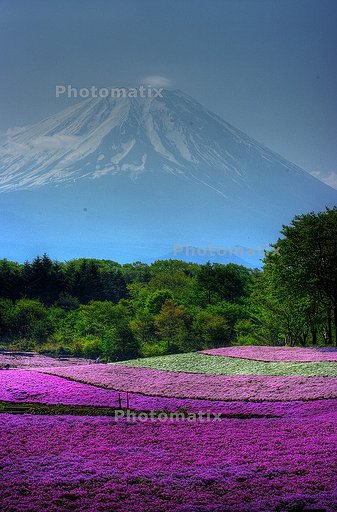 HDR試してみました・・・