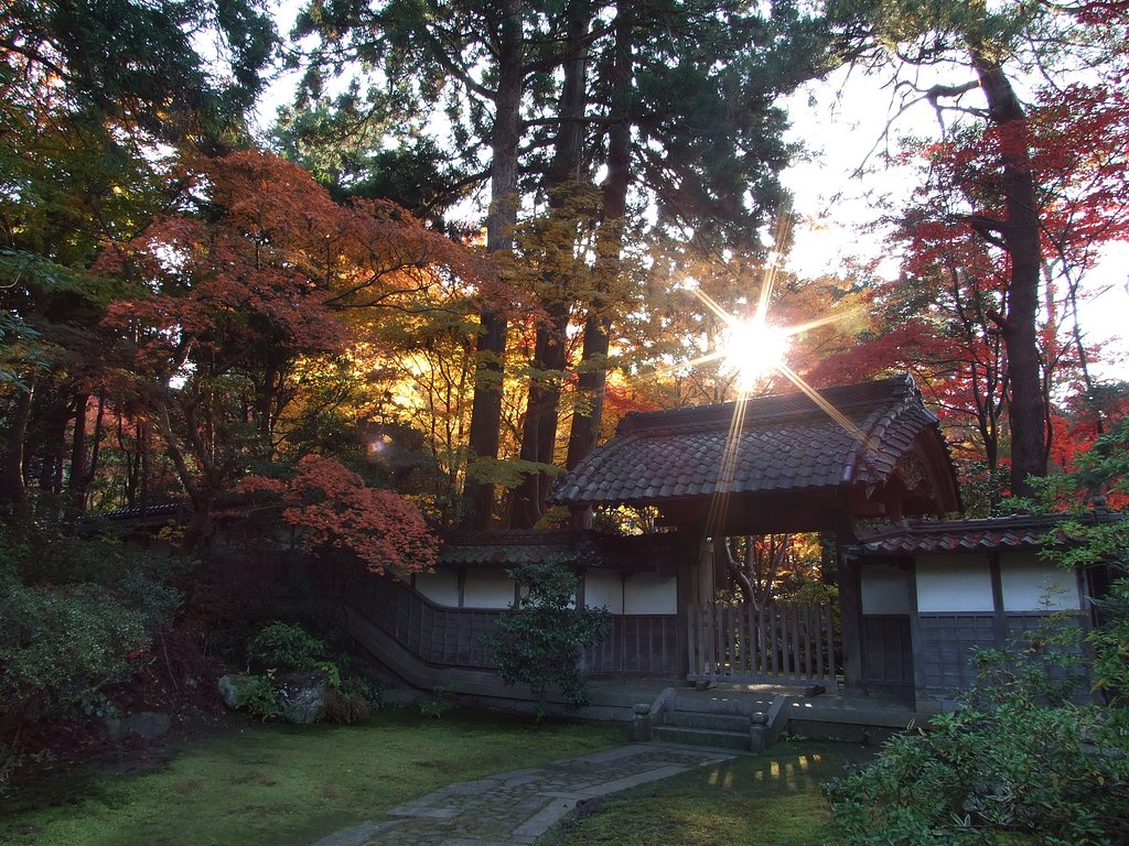 紅葉