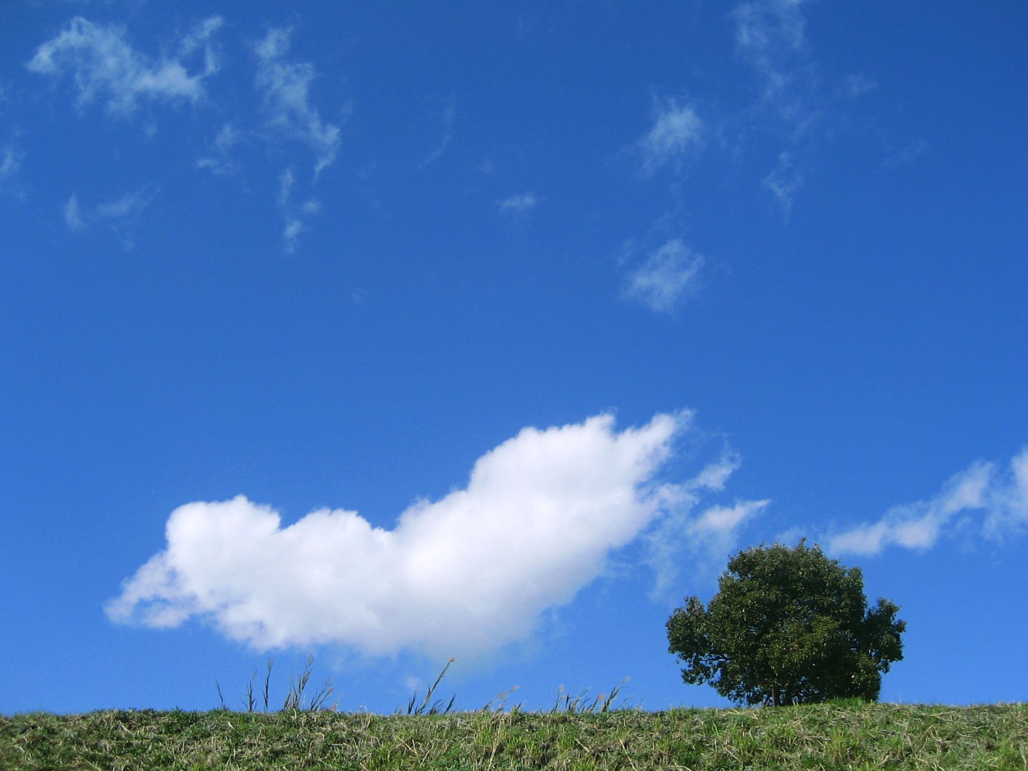 のんびりな空