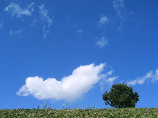 のんびりな空