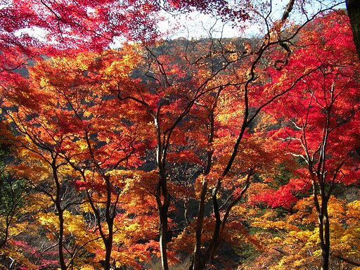 山火事ではありません