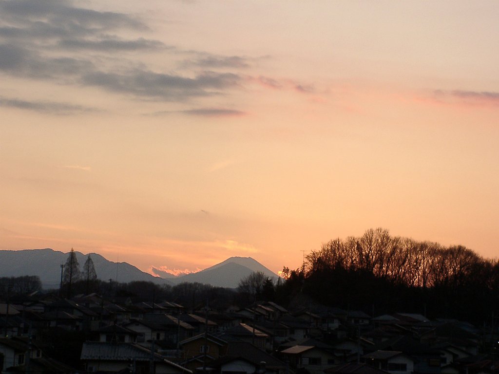 ▲日本画風の夕暮れ-14