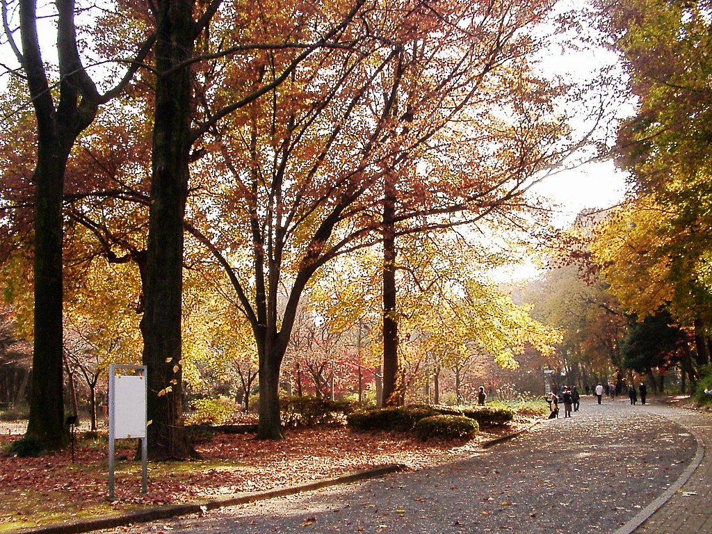 ◆紅葉スケッチ-49 神代植物公園⑨