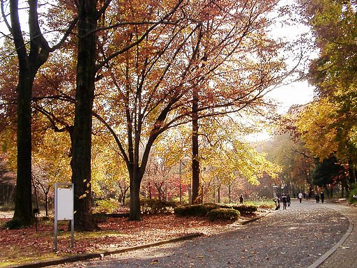 ◆紅葉スケッチ-49 神代植物公園⑨