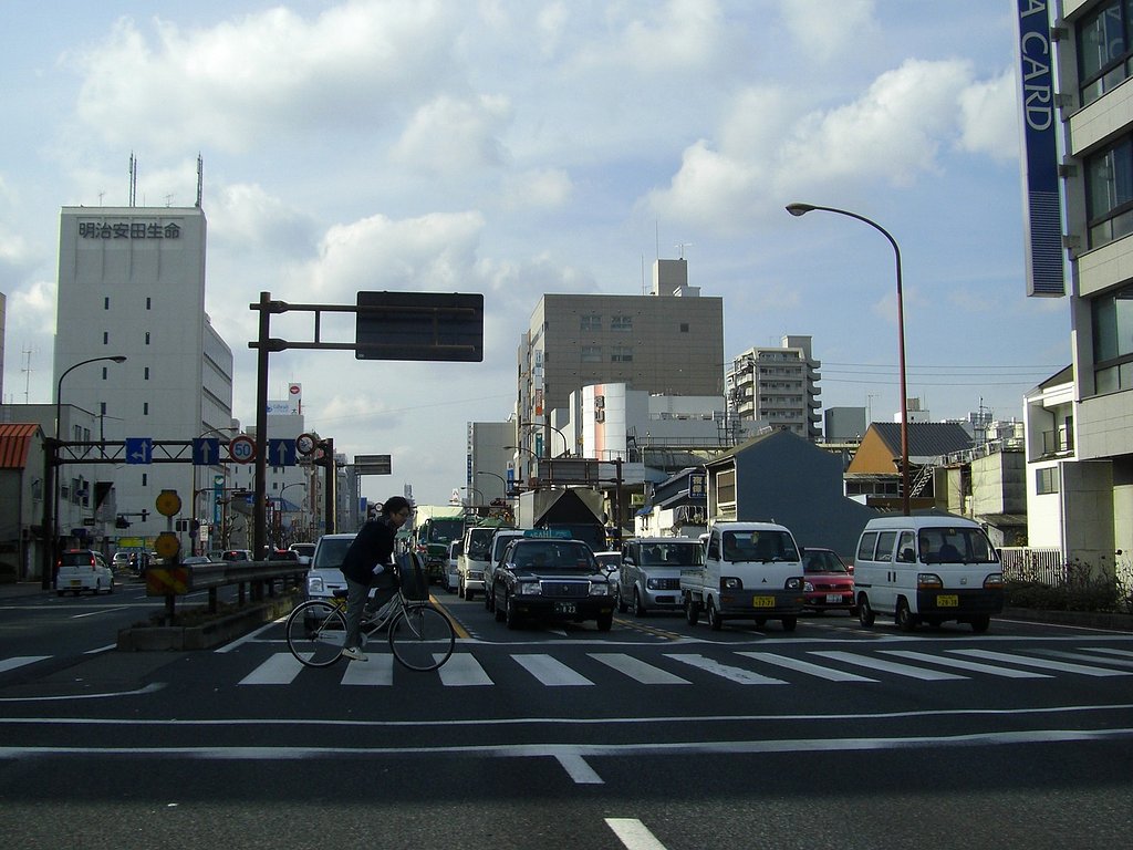 渡り切れない？