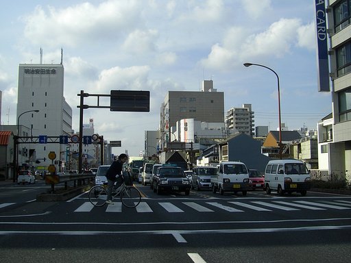 渡り切れない？