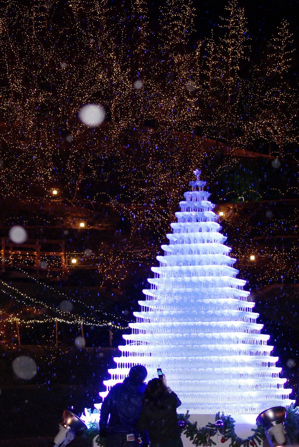 雪が降り出しました