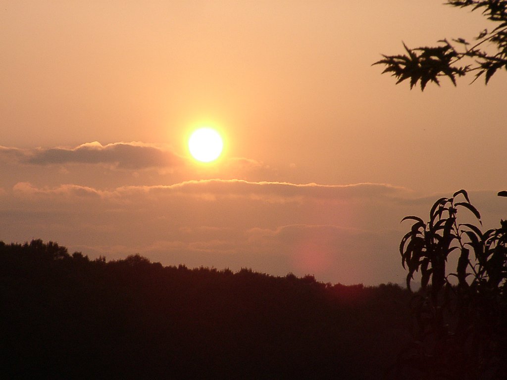 ◆秋の夕暮れ-15