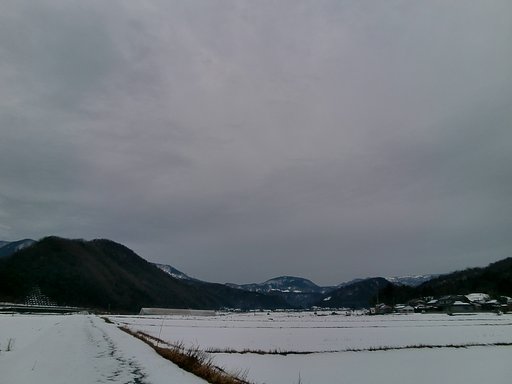 日の出の見られない今朝の東の空
