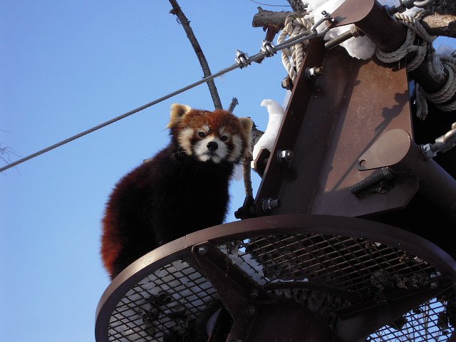 カメラ目線