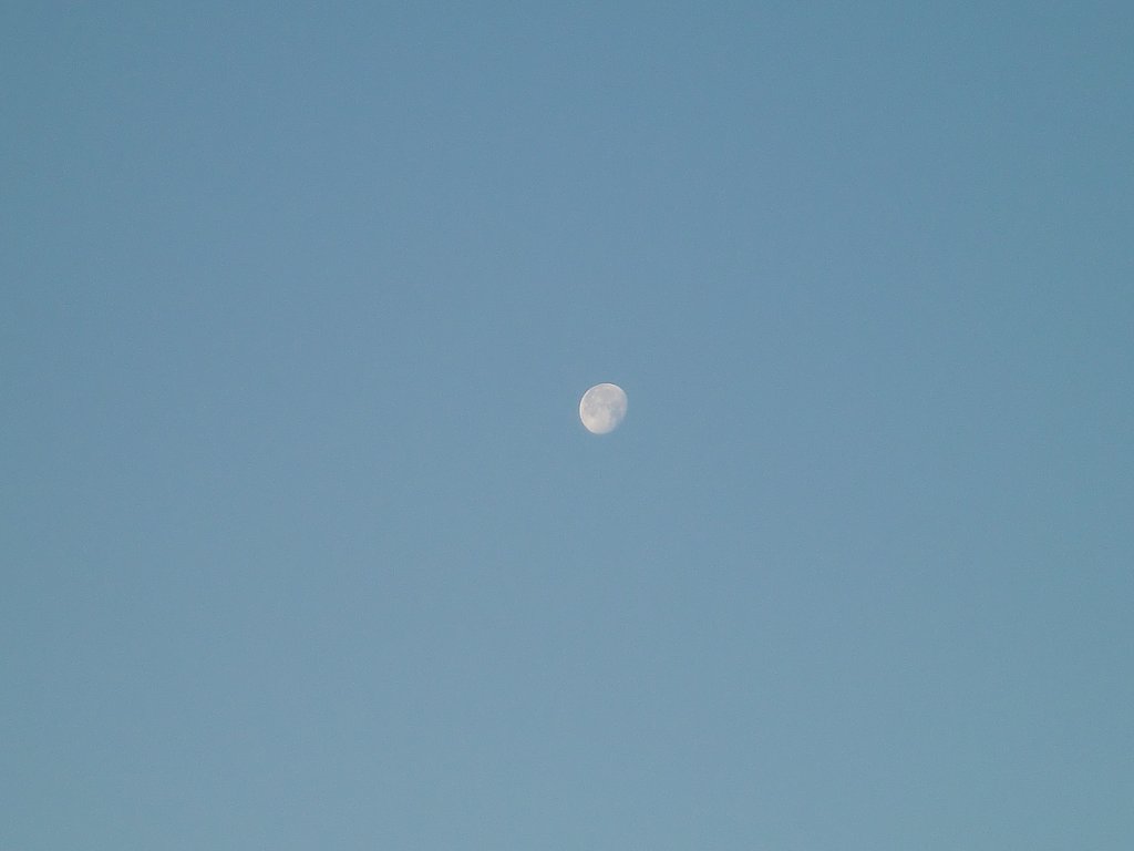 今朝の残月
