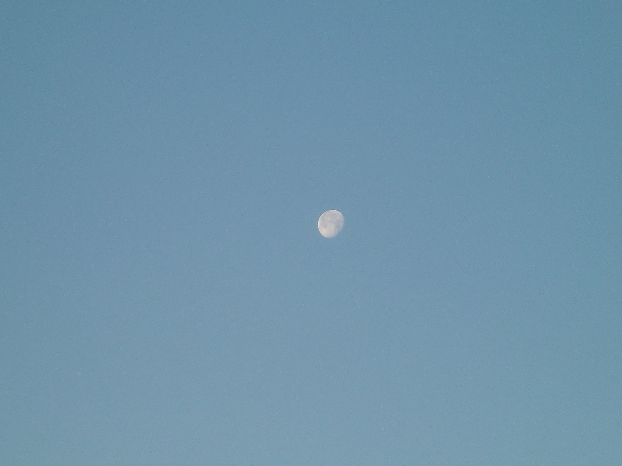 今朝の残月