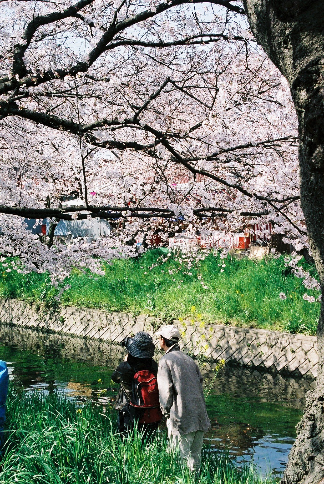 フイルムカメラで