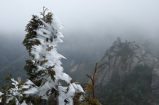 霧氷
