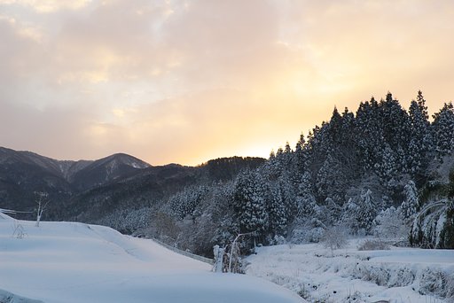 大雪の中の真っ赤な日の出
