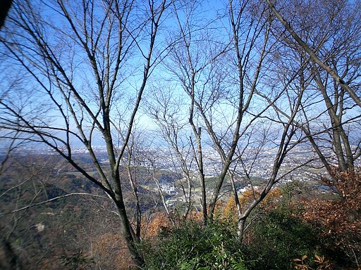 冬枯れ