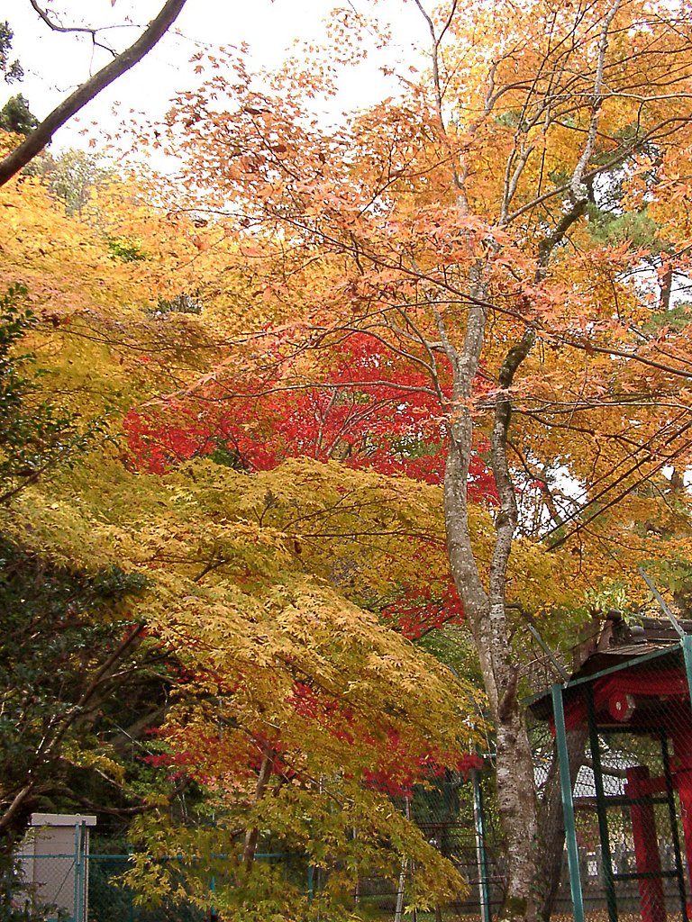 ◆紅葉スケッチ-02 仙台城跡(2)