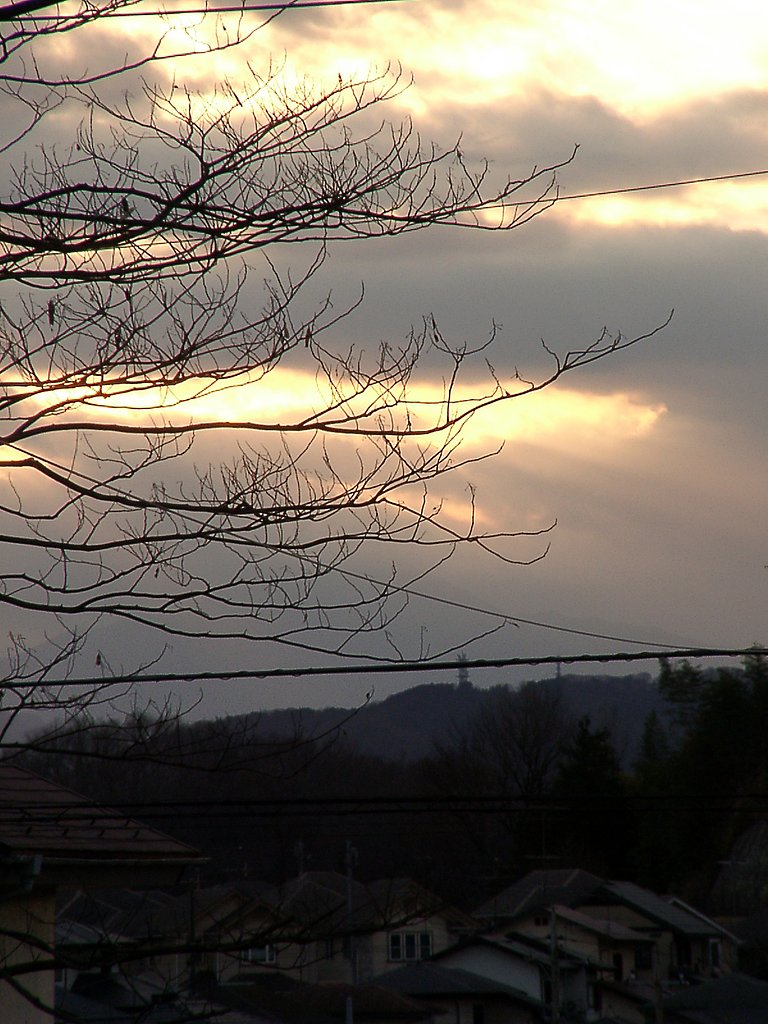 ▲日本画風の夕暮れ-01