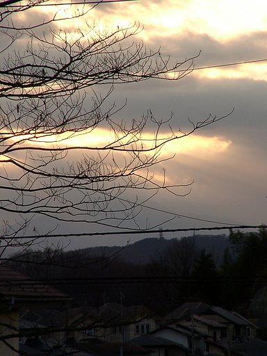 ▲日本画風の夕暮れ-01